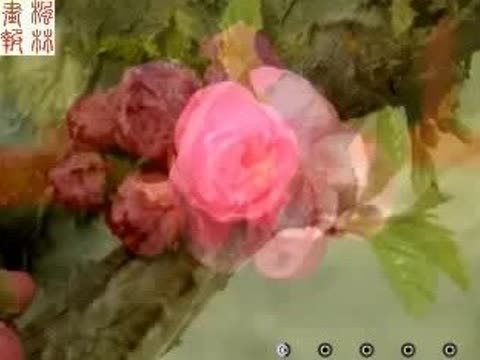 再唱桃花盛开的地方 mv图片