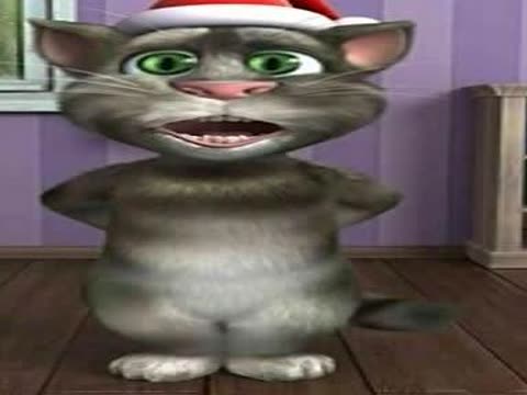 TOM猫搞笑视频1视频