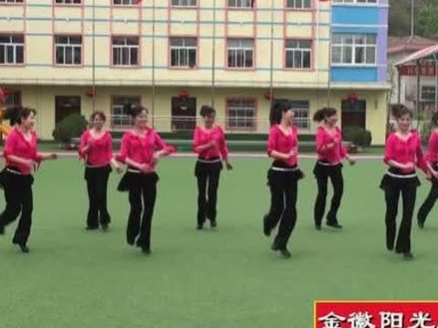 金徽广场舞十四步迪斯科图片_金徽广场舞十四