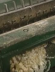 造物小百科-视频在线观看-lopn1