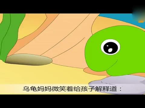 鱼为什么睡觉不闭着眼睛?