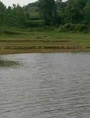 南方冬钓鲫鱼饵料配方-视频在线观看- jinkewe